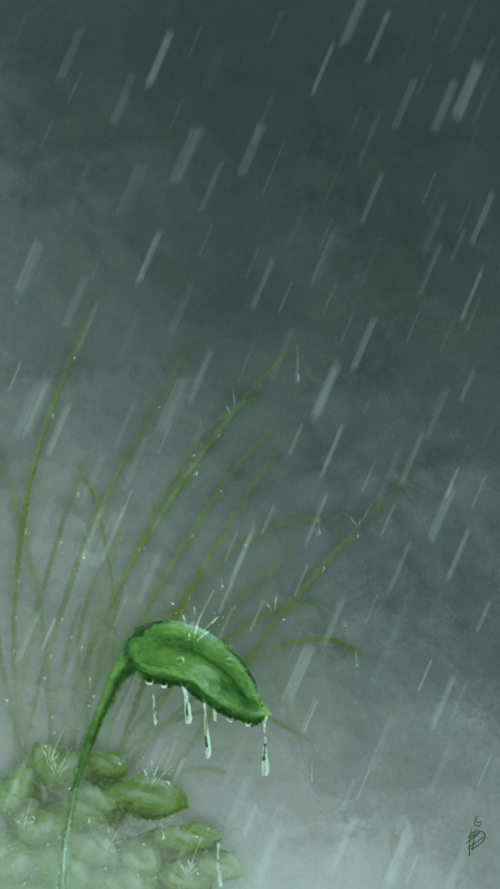 The Feeling of Rain