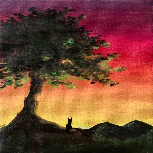 Kitty at Sunset
